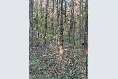 N Woodland Avenue, Bitely, MI 49309 - Photo 2