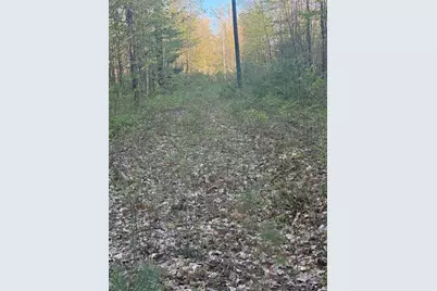 N Woodland Avenue, Bitely, MI 49309 - Photo 6
