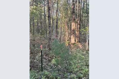 N Woodland Avenue, Bitely, MI 49309 - Photo 1
