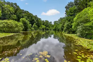 11465 Clinton Rd, Rives Junction, MI 49277 - Photo 46
