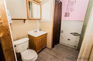 1402 E Deaner Road NE, Edmore, MI 48829 - Photo 58