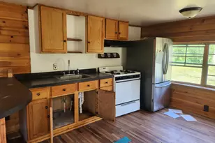 8253 S Washington Ave, Baldwin, MI 49304 - Photo 2