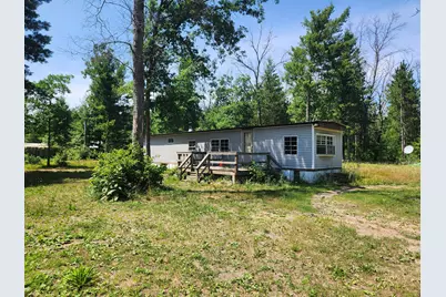 8253 S Washington Avenue, Baldwin, MI 49304 - Photo 1