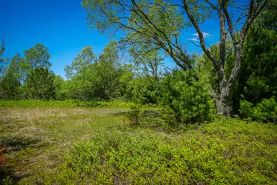 Parcel A Makinen Road, Kaleva, MI 49645 - Photo 16