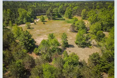 Parcel A Makinen Road, Kaleva, MI 49645 - Photo 8
