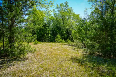 Parcel B Makinen Road, Kaleva, MI 49645 - Photo 8