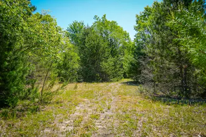 Parcel B Makinen Road, Kaleva, MI 49645 - Photo 10