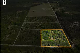 Parcel B Makinen Rd, Kaleva, MI 49645 - Photo 1