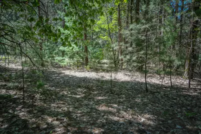 Parcel B Makinen Road, Kaleva, MI 49645 - Photo 34