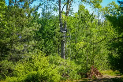 Parcel B Makinen Road, Kaleva, MI 49645 - Photo 12