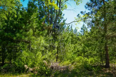 Parcel B Makinen Road, Kaleva, MI 49645 - Photo 26