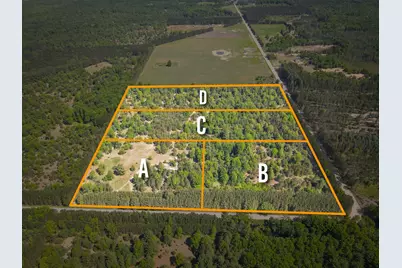 Parcel C Niemi Road, Kaleva, MI 49645 - Photo 28