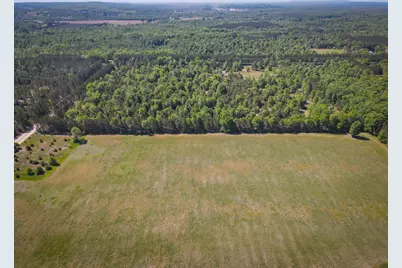 Parcel C Niemi Road, Kaleva, MI 49645 - Photo 6