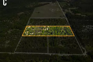 Parcel C Niemi Rd, Kaleva, MI 49645 - Photo 1