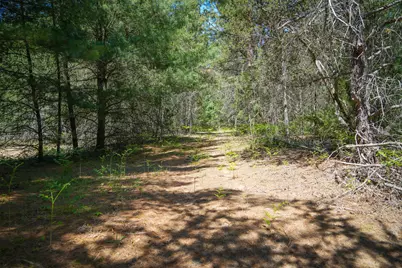 Parcel C Niemi Road, Kaleva, MI 49645 - Photo 16