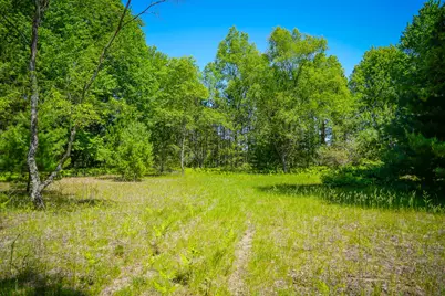 Parcel C Niemi Road, Kaleva, MI 49645 - Photo 20