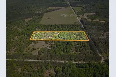 Parcel C Niemi Road, Kaleva, MI 49645 - Photo 2