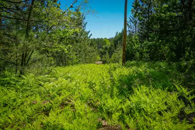 Parcel C Niemi Road, Kaleva, MI 49645 - Photo 10