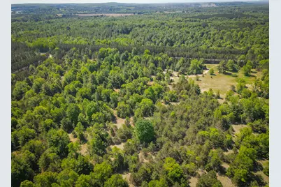 Parcel D Niemi Road, Kaleva, MI 49645 - Photo 16