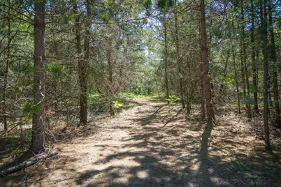 Parcel D Niemi Road, Kaleva, MI 49645 - Photo 24