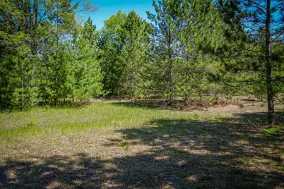 Parcel D Niemi Road, Kaleva, MI 49645 - Photo 26