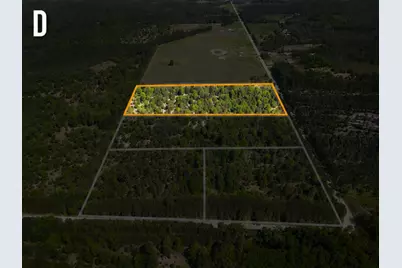 Parcel D Niemi Road, Kaleva, MI 49645 - Photo 1