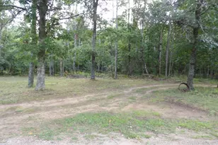 11067 S River Rd, Evart, MI 49631 - Photo 38