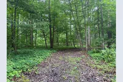 7 E Johnson Road, Ashley, MI 48806 - Photo 8