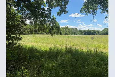 Vl Tamarack Road, Pittsford, MI 49271 - Photo 10