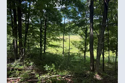 Vl Tamarack Road, Pittsford, MI 49271 - Photo 12
