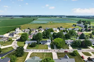 438 South St, Blissfield, MI 49228 - Photo 64