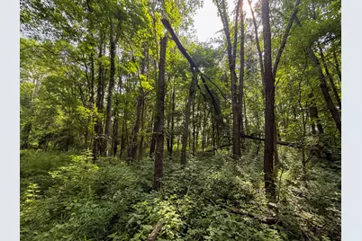Vl Whitetail Ridge #29, Dowagiac, MI 49047 - Photo 2
