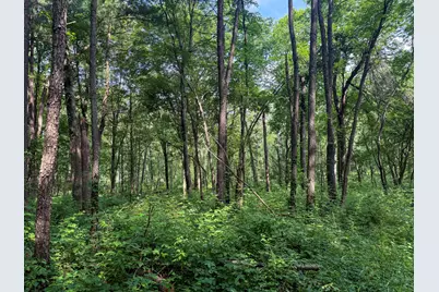 Vl Whitetail Ridge #29, Dowagiac, MI 49047 - Photo 12