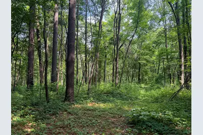 Vl Whitetail Ridge #29, Dowagiac, MI 49047 - Photo 8