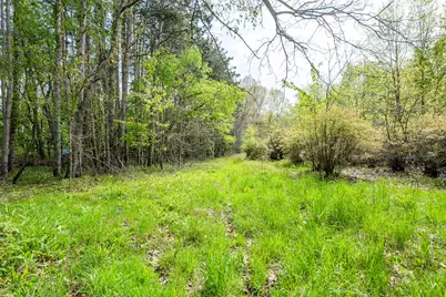 0A Linke Rd Road, Bridgman, MI 49106 - Photo 4