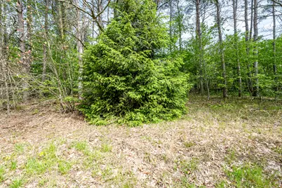 0A Linke Rd Road, Bridgman, MI 49106 - Photo 2