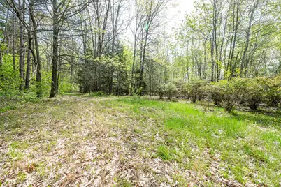 0A Linke Rd Road, Bridgman, MI 49106 - Photo 8