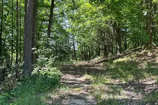 313 W Spruce Street E, Big Rapids, MI 49307 - Photo 1