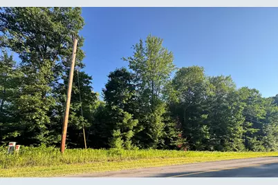 V/L E 8 Mile Road, Luther, MI 49656 - Photo 6
