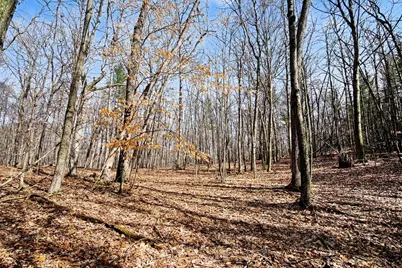 9370 S Hannah Lane, Grant, MI 49327 - Photo 30
