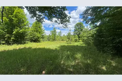 V/L S 35 Road, Cadillac, MI 49601 - Photo 12