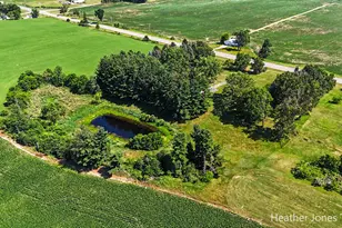 2350 Belding Rd, Orleans, MI 48865 - Photo 2