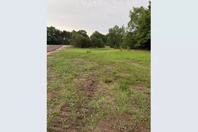 Sadie Ln #Parcel 'F', Bear Lake, MI 49614 - Photo 8