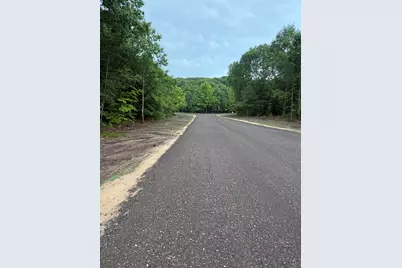 Sadie Ln #Parcel 'F', Bear Lake, MI 49614 - Photo 8