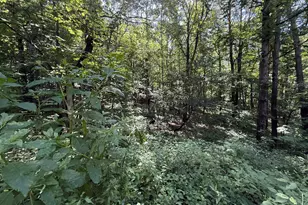 3851 21st St, Dorr, MI 49323 - Photo 16