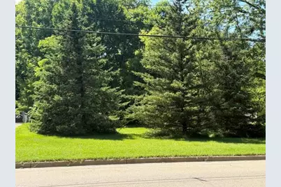 413 Brewer Street, Marshall, MI 49068 - Photo 1