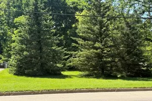 413 Brewer St, Marshall, MI 49068 - Photo 1