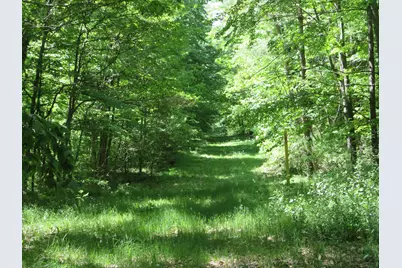 11000 N Vickeryville Road, Edmore, MI 48829 - Photo 14