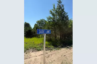 Sadie Ln #Parcel 'G', Bear Lake, MI 49614 - Photo 6