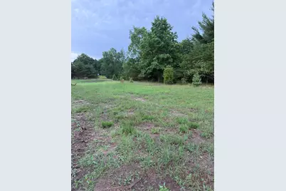 Sadie Ln #Parcel 'C', Bear Lake, MI 49614 - Photo 4